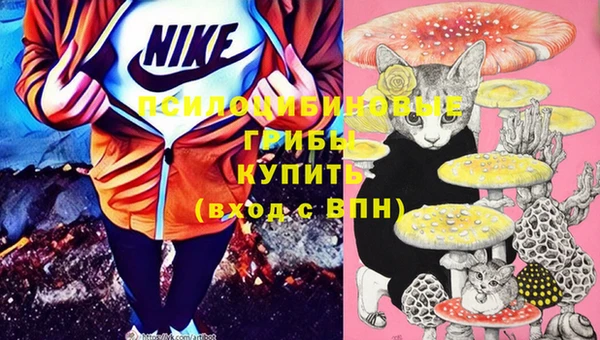 экстази Абаза