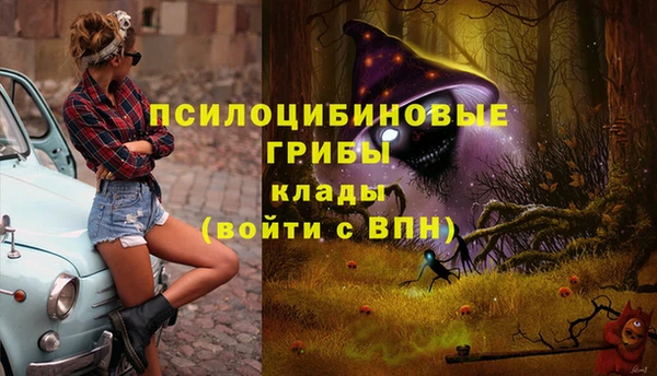 тгк Абдулино